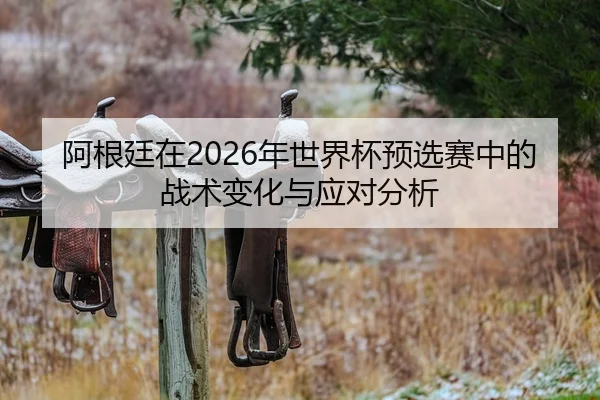 阿根廷在2026年世界杯预选赛中的战术变化与应对分析