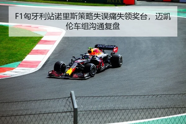 F1匈牙利站诺里斯策略失误痛失领奖台，迈凯伦车组沟通复盘